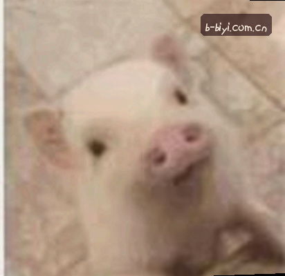 赵铭